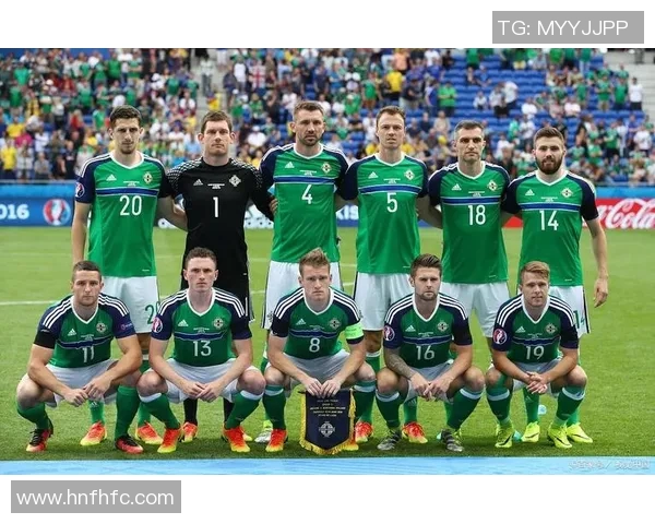 爱尔兰与保加利亚足球赛精彩比分结果分析与回顾