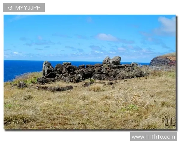 布莱克尼的魅力探秘：揭开这座小镇的历史与文化之美