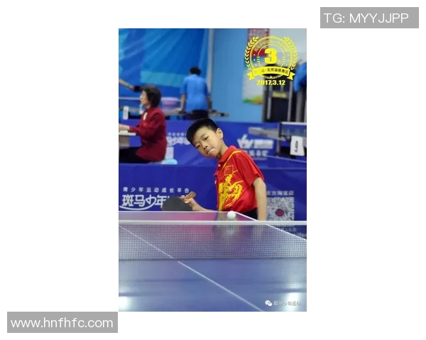 乒乓球的魅力与实力成都乒乓球队的训练与成长之路探秘 乒乓球的魅力与实力成都乒乓球队的训练与成长之路探秘