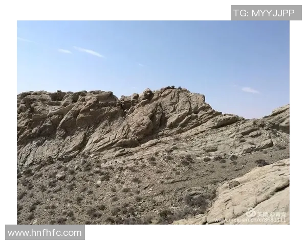 攀登人生的巅峰：吴静与深度对话的心路历程