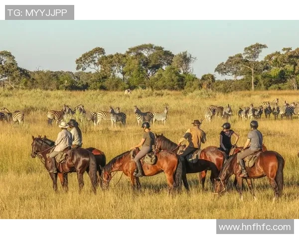 肯尼亚与坦桑尼亚的足球对决分析与历史回顾