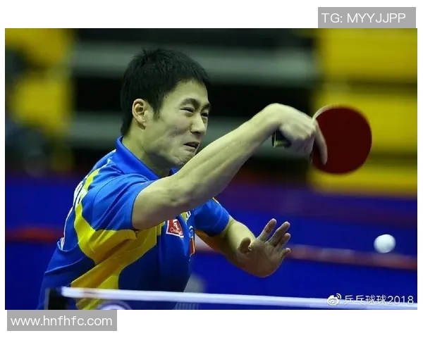 对话杨磊：回顾乒乓球生涯的辉煌与挑战之路